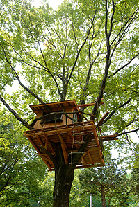 TreeHouse