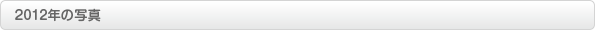 2012年の写真